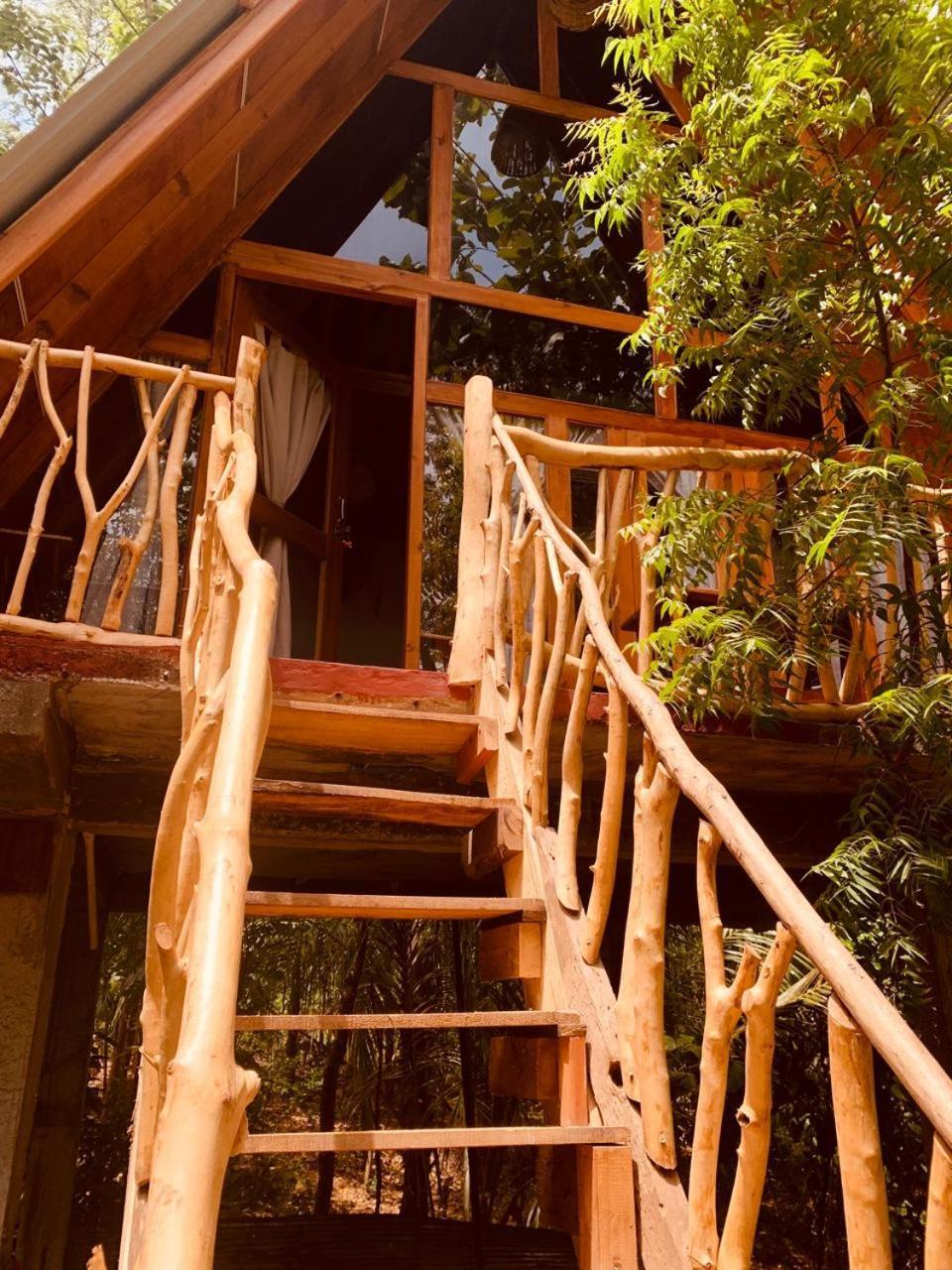 Angry Birds Tree House Хабарана