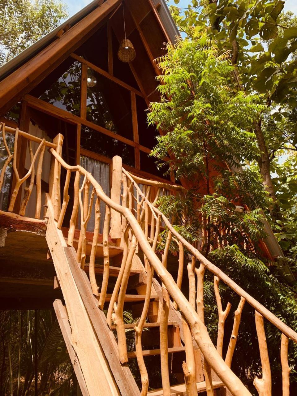 Angry Birds Tree House