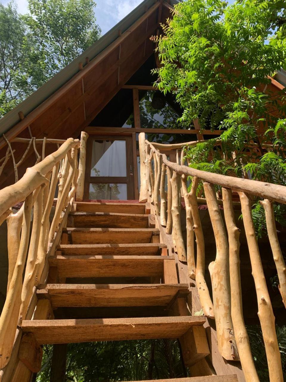 Angry Birds Tree House
